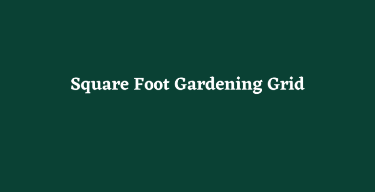 Square Foot Gardening Grid & How To Water