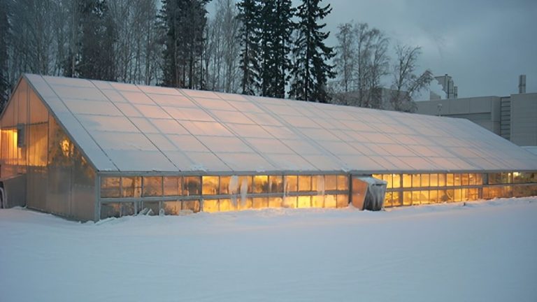 How To Heat a Greenhouse in Winter For Free