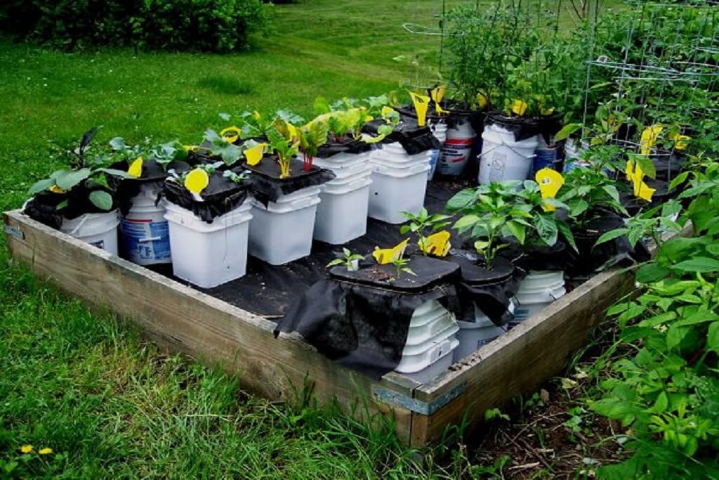 Self-Watering Containers use for water on plants.