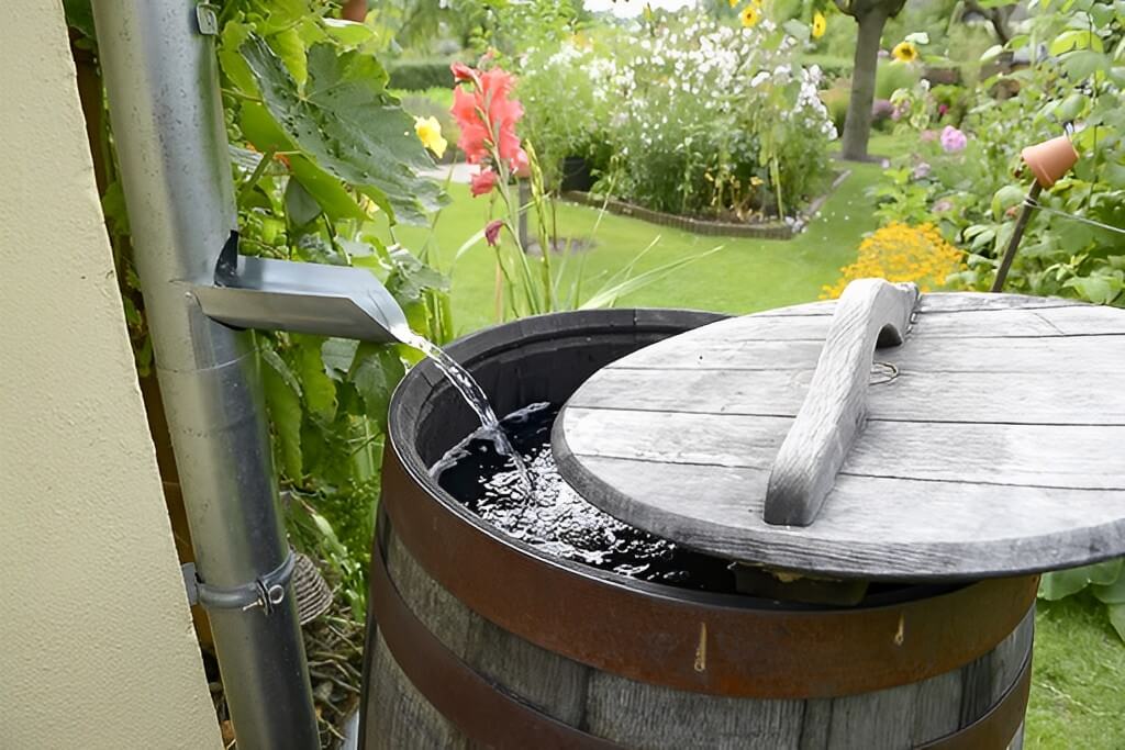 This image show how to save water Rain Barrel.