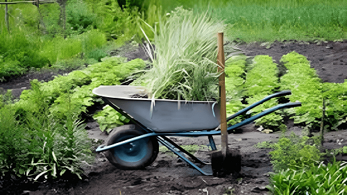 How To Clear a Garden Full of Weeds With Manually Chemical.