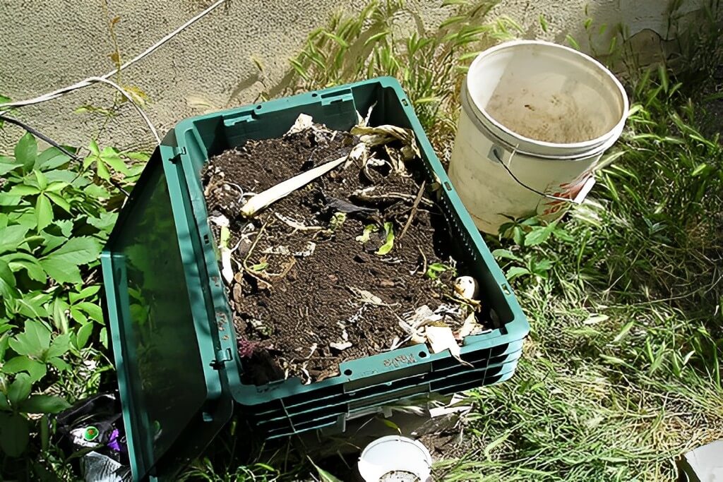 What is the best compost for outdoor plants.