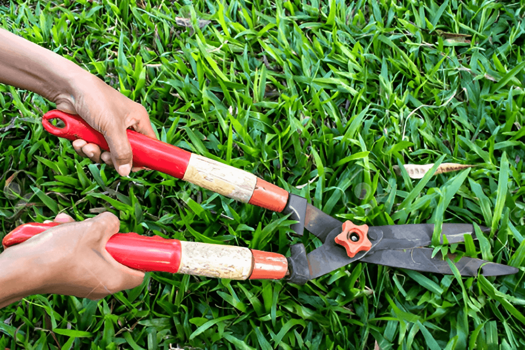 How to cut grass by hand.