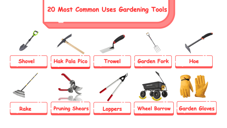 What Are The 20 Most Common Gardening Tools